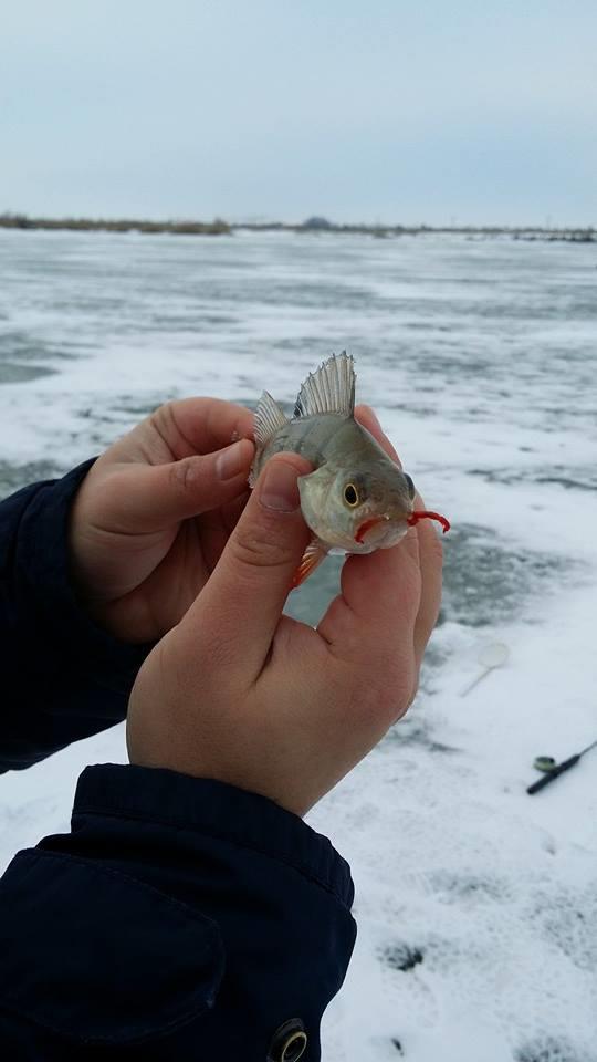 bibaniada :) - 14917358347964232335871994178106680840738n.jpg